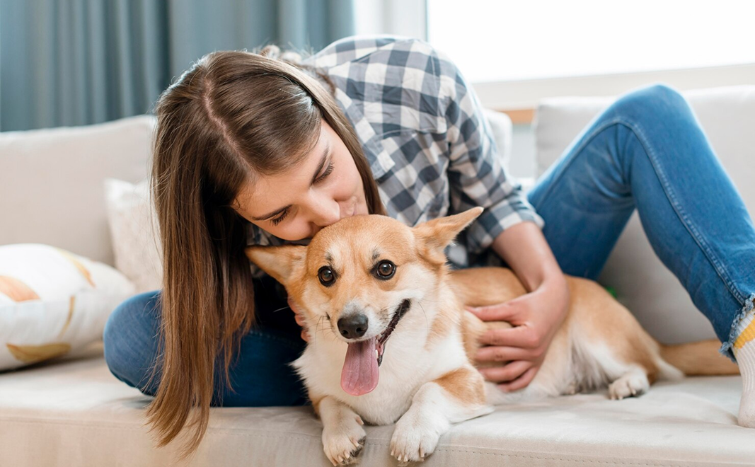 Happy pet owner with corgi dog