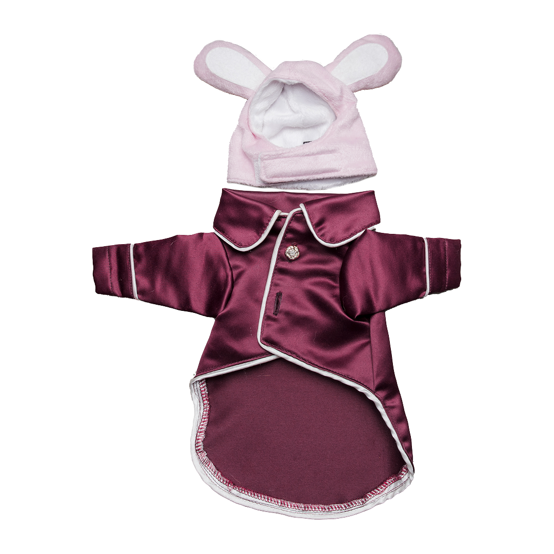 Pet Costume