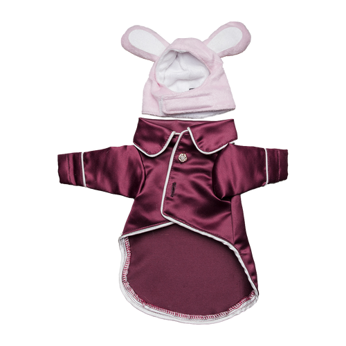 Pet Costume