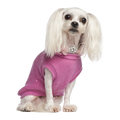 Luxury Pet Sweater
