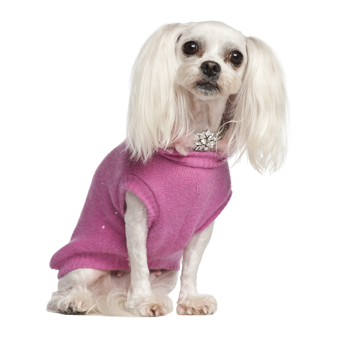 Luxury Pet Sweater