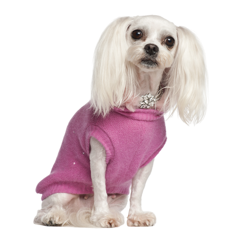 Luxury Pet Sweater