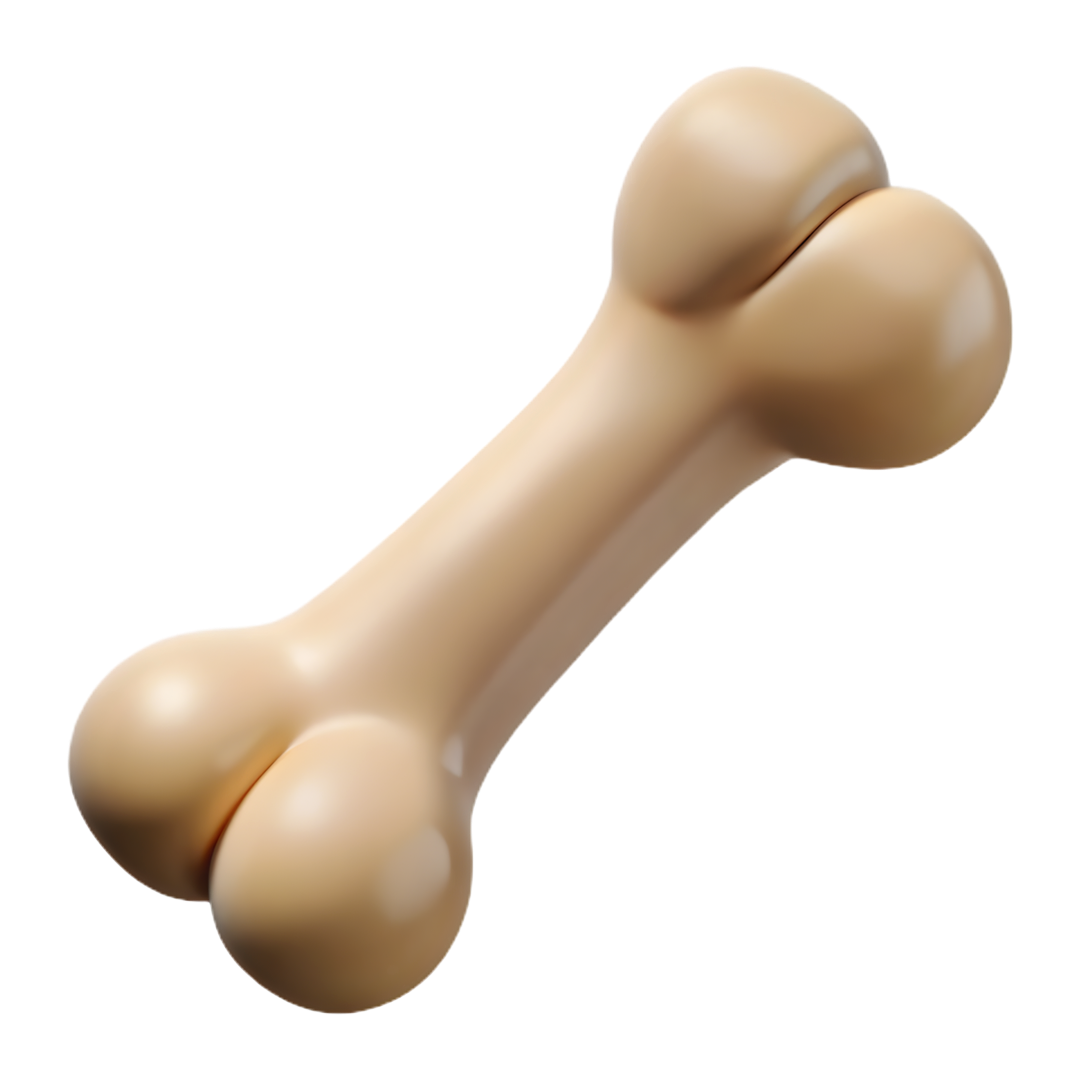Dog Chew Bone