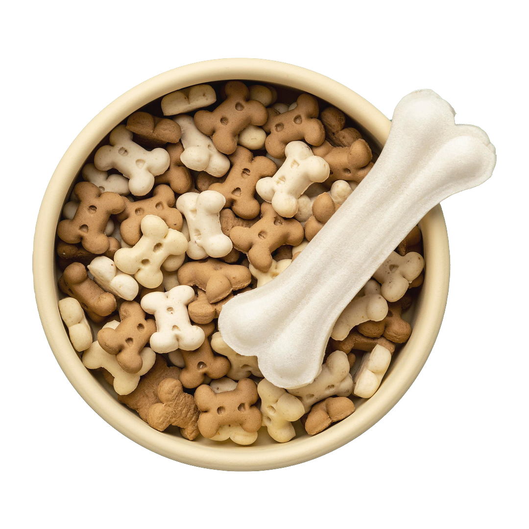 Dog Biscuit Treats