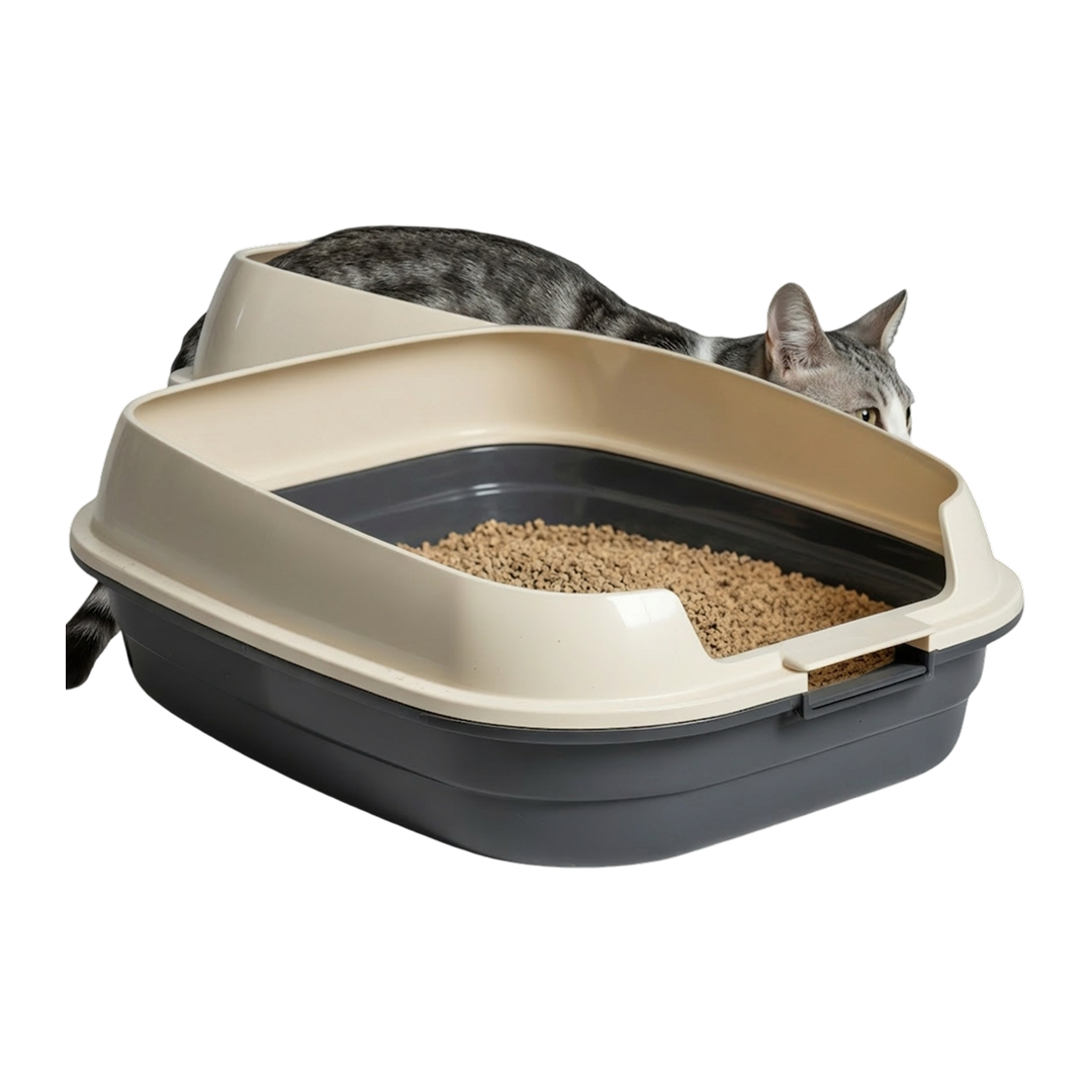 Open-Top Cat Litter Box