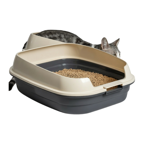 Open-Top Cat Litter Box